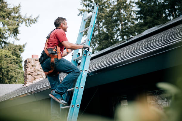 Best Metal Roofing Installation  in Paulding, OH